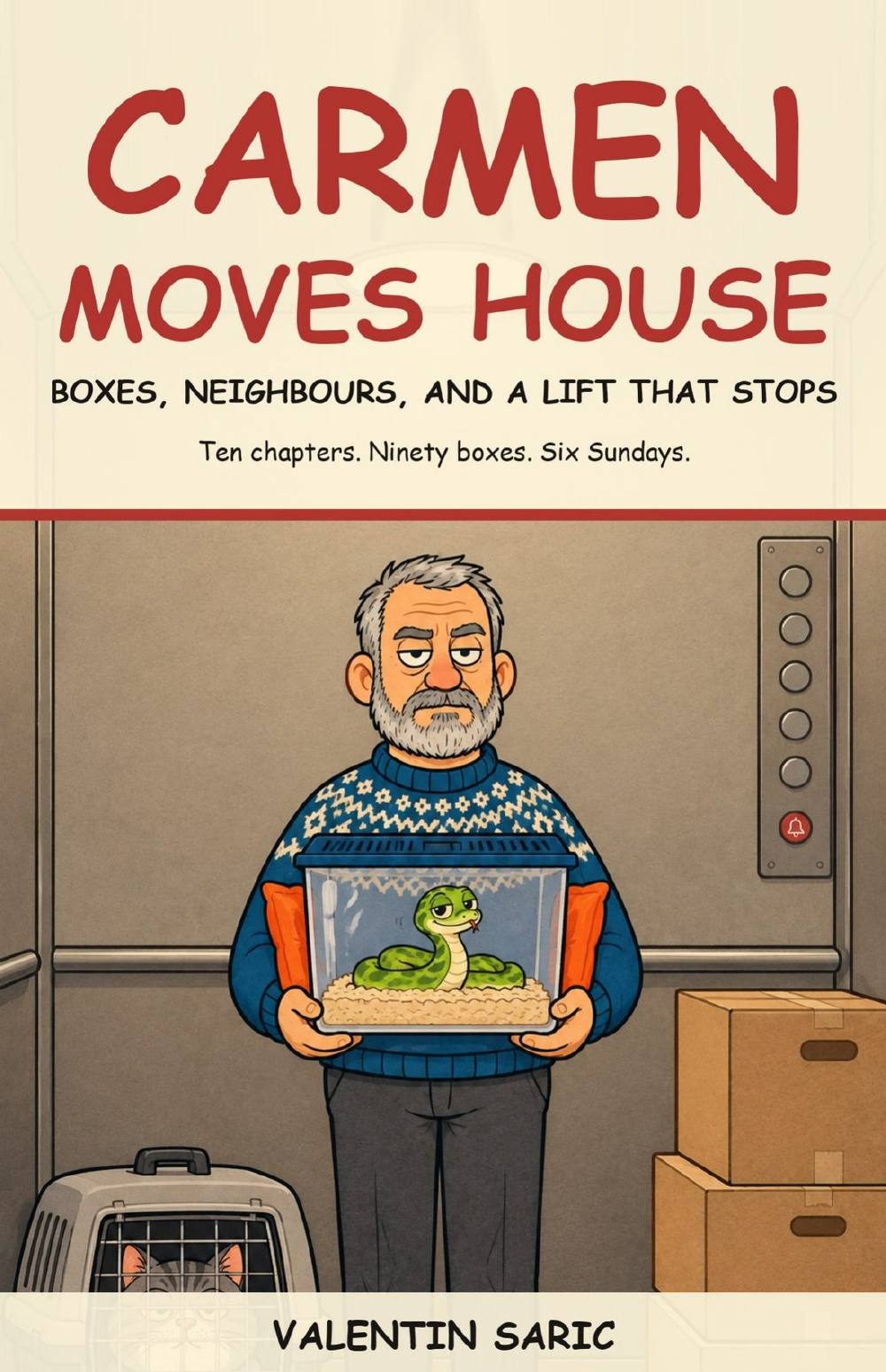 Carmen Moves House: Boxes, Neighbours, and a Lift That Stops, graphic novel cover